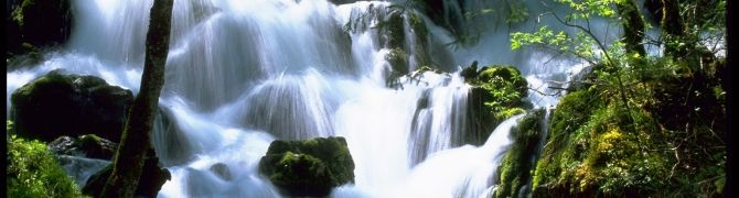 Wiener Wasserwerke/ccwaters Wiener Wasserwerke/ccwaters