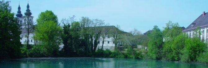 Wasserschau Teich © wasserwerk.at