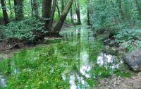 Triestingtal Daten1