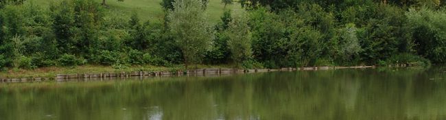 WW Grieskirchen Umfeld 1
