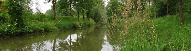 WW Grieskirchen Daten 2