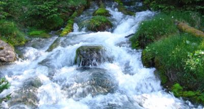 wasserwerk.at